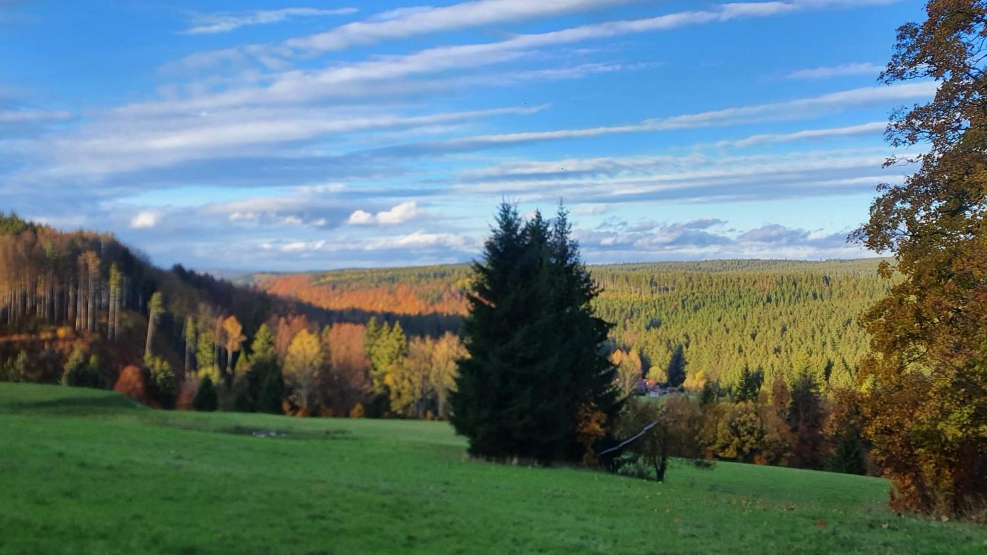 Chata Zieleniecka Duszniki Zdrój Exterior foto
