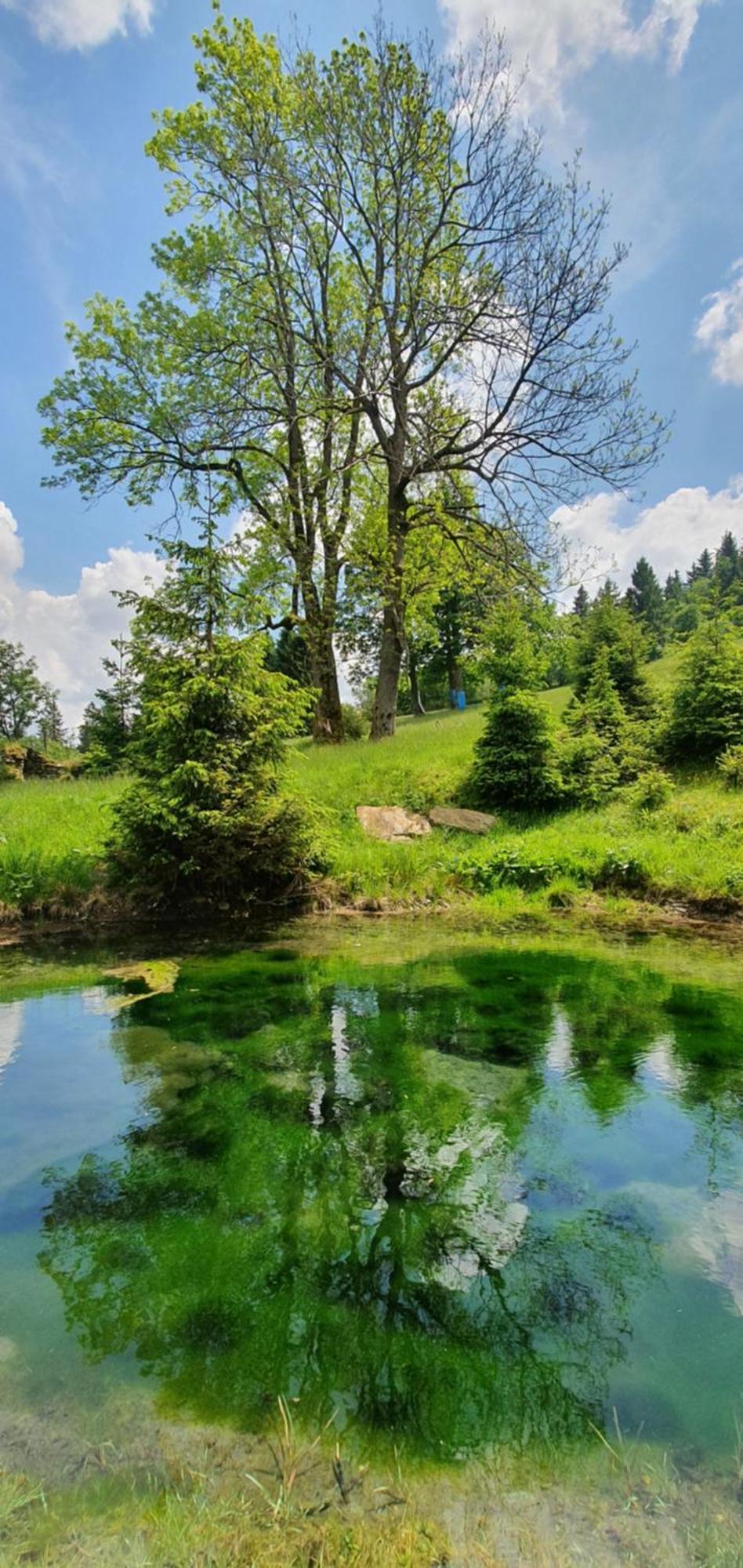 Chata Zieleniecka Bed & Breakfast Duszniki Zdrój Exterior foto