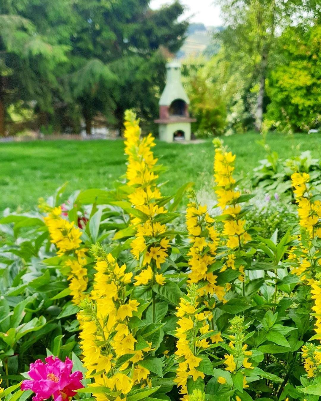 Chata Zieleniecka Bed & Breakfast Duszniki Zdrój Exterior foto